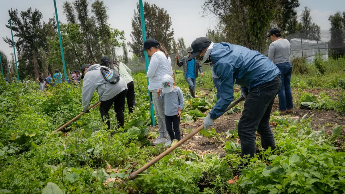 Familias trabajando la tierra en un huerto agroecológico