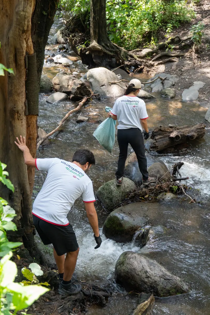 Voluntarios recogiendo residuos en el cauce de un río